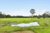 105-135 Dairy Creek Road, Buccan, Qld 4207-Image