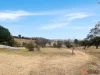 105 Bunyanvale Road, Bunyan, NSW 2630-Image