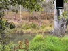 105 Jones Road, Tumoulin, Qld 4888-Image