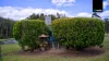 105 Jones Road, Tumoulin, Qld 4888-Image