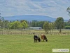105 Marble Hill Road, Armidale, NSW 2350-Image
