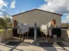 105 Terlichs Road, Verona, NSW 2550-Image