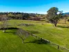 105 Terlichs Road, Verona, NSW 2550-Image