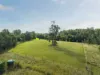 105 Thoroughbred Close, Nana Glen, NSW 2450-Image