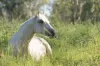 107-115 Garden Road, Cedar Creek, Qld 4207-Image