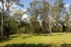 107 Greentrees Avenue, Kenmore Hills, Qld 4069-Image