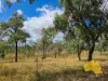 108 CATTLE CREEK ROAD, Mundowran, Qld 4626-Image