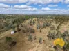 108 CATTLE CREEK ROAD, Mundowran, Qld 4626-Image