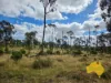108 CATTLE CREEK ROAD, Mundowran, Qld 4626-Image
