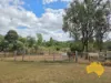 108 CATTLE CREEK ROAD, Mundowran, Qld 4626-Image