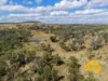108 CATTLE CREEK ROAD, Mundowran, Qld 4626-Image