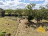 108 CATTLE CREEK ROAD, Mundowran, Qld 4626-Image