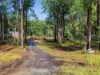 1083 Bucca Road, Bucca, NSW 2450