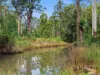 1083 Bucca Road, Bucca, NSW 2450-Image