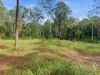 1083 Bucca Road, Bucca, NSW 2450-Image