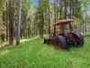 1083 Bucca Road, Bucca, NSW 2450-Image