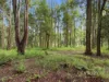 1083 Bucca Road, Bucca, NSW 2450-Image