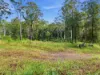 1083 Bucca Road, Bucca, NSW 2450-Image
