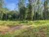 1083 Bucca Road, Bucca, NSW 2450-Image