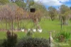 1088 Summerland Way, Kilgra, NSW 2474-Image