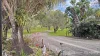 1088 Summerland Way, Kilgra, NSW 2474-Image