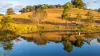 109 Browns Lane, Farnborough, Qld 4703-Image