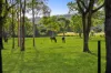 10A Cottesloe Road, Jilliby, NSW 2259-Image