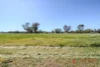 10L Woodstock Road, Dubbo, NSW 2830-Image