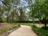 11 Cotswold Road, Dural, NSW 2158-Image
