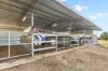 11 Cummins Drive, San Isidore, NSW 2650-Image