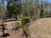 11 Ludlow Road, Wondecla, Qld 4887-Image