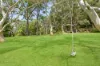 11 Minkara Road, Bayview, NSW 2104-Image