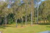 11 Old Mill Road, Bannockburn, Qld 4207-Image