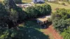 11 Redridge Crescent, Redridge, Qld 4660-Image