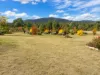11 Salter Street, Bingara, NSW 2404-Image