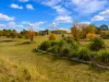 11 Salter Street, Bingara, NSW 2404-Image