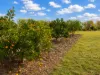 11 Salter Street, Bingara, NSW 2404-Image