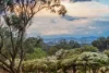 110 Dellven Drive, Table Top, NSW 2640-Image