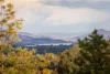 110 Dellven Drive, Table Top, NSW 2640-Image