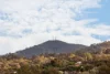 110 Dellven Drive, Table Top, NSW 2640-Image