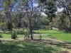 110 Eatonvale Road, Tinana, Qld 4650-Image