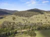 1109 Big Jack Mountain Road, Rocky Hall, NSW 2550-Image