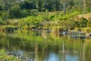 111 Boat Harbour Lane, Long Flat, NSW 2446-Image
