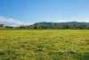 111 Boat Harbour Lane, Long Flat, NSW 2446-Image