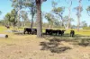 111 Preston Road, Adelaide Park, Qld 4703-Image