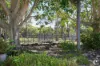 111 Preston Road, Adelaide Park, Qld 4703-Image