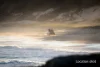 111 Tarbuck Park Road, Tarbuck Bay, NSW 2428-Image