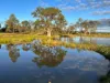 1115 Warwick Yangan Road, Swan Creek, Qld 4370-Image