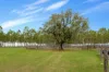 1115 Warwick Yangan Road, Swan Creek, Qld 4370-Image