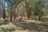 112 Merrit Road, Parklands, WA 6180-Image